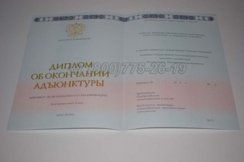 Диплом Адъюнктуры 2023г в Альметьевске