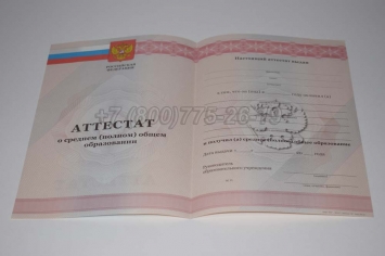 Аттестат За 11 Класс 2013г в Альметьевске