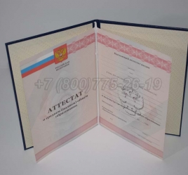 Аттестат За 11 Класс 2009г в Альметьевске