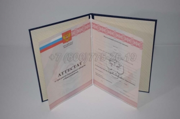 Аттестат За 11 Класс 2009г в Альметьевске