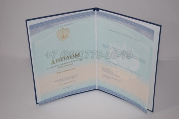 Диплом Техникума 2018г СпецБланк в Альметьевске